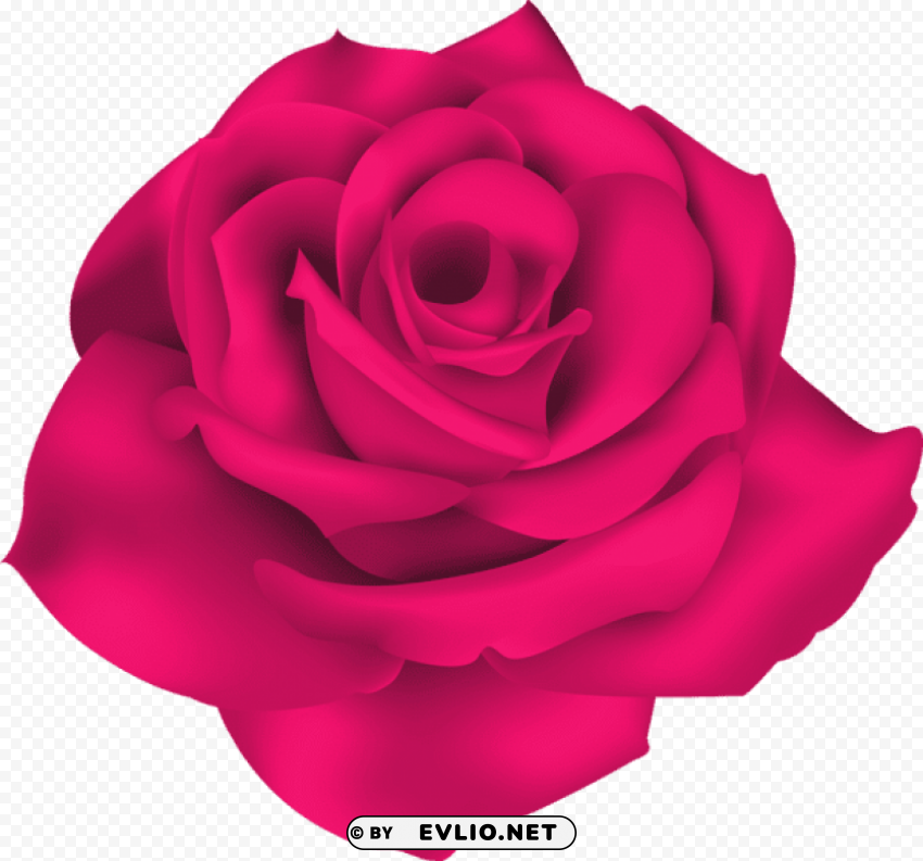 single pink rose PNG images with clear alpha channel broad assortment