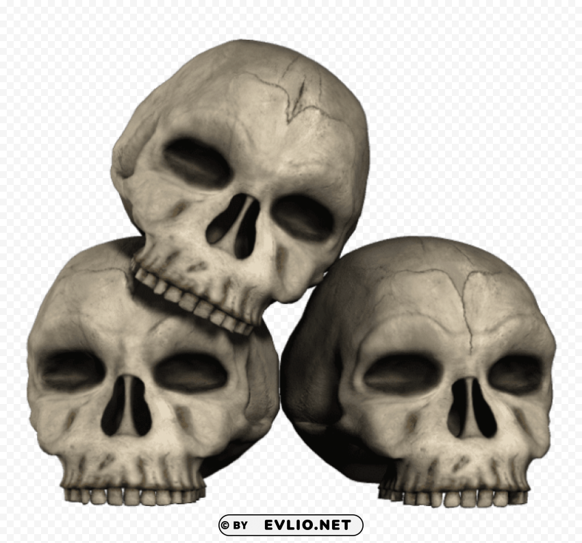 three skulls PNG images for editing