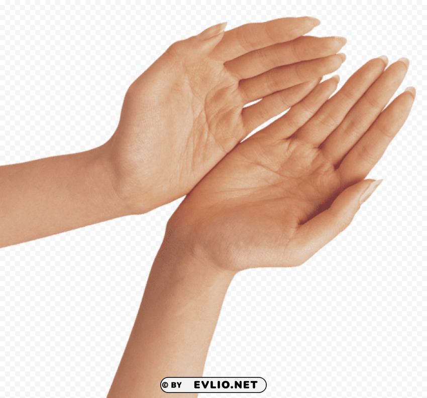 two hands Isolated Item on Clear Transparent PNG