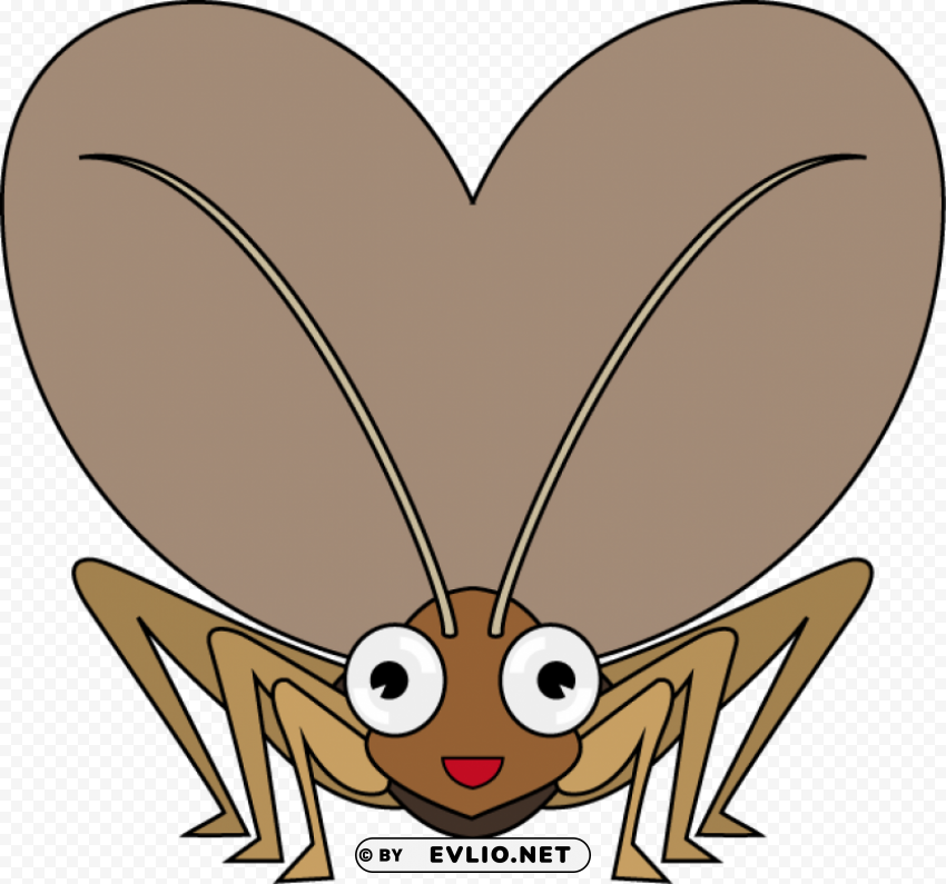 cricket insect clipart PNG format with no background