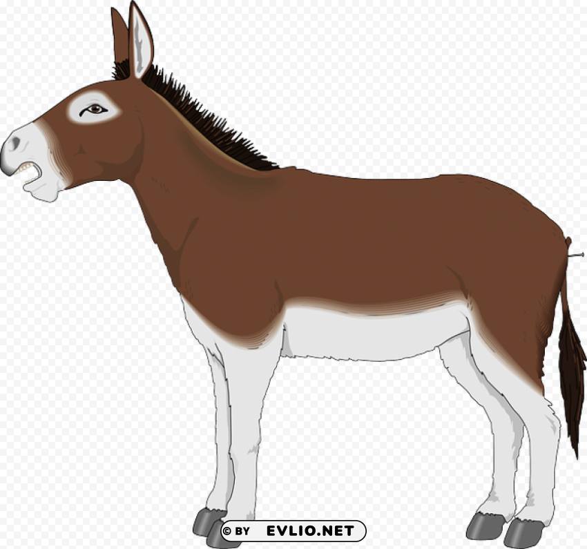 donkey PNG for overlays