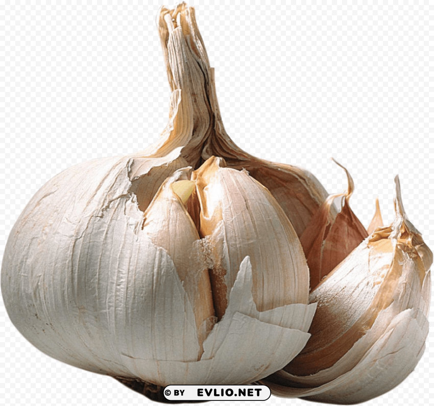 garlic Free PNG images with clear backdrop