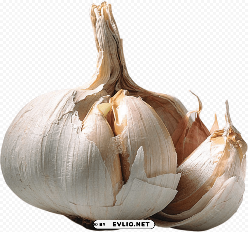 Garlic Free PNG Images With Clear Backdrop