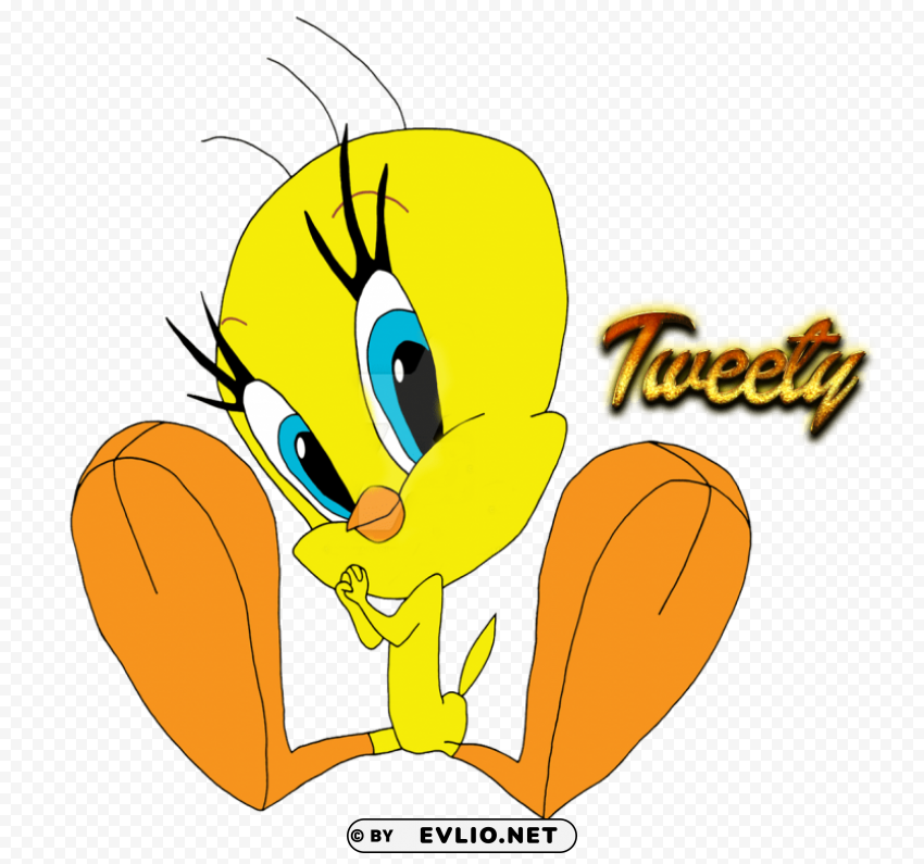 tweety PNG images with transparent canvas comprehensive compilation
