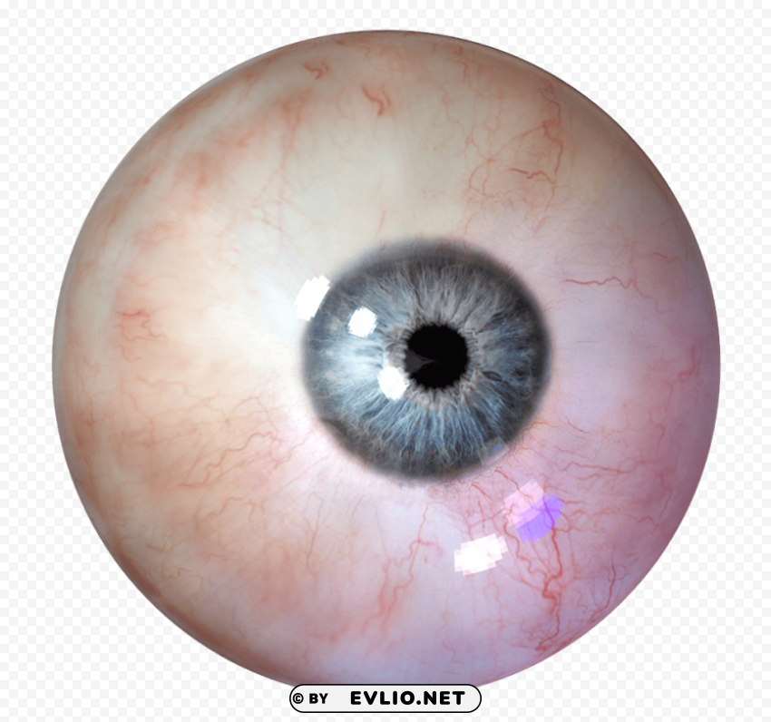 Eye Transparent Background PNG Isolated Pattern