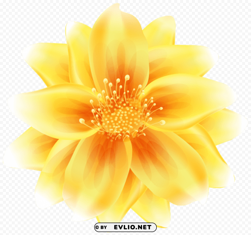 PNG image of flower yellow Isolated Subject in Transparent PNG with a clear background - Image ID 742ed168