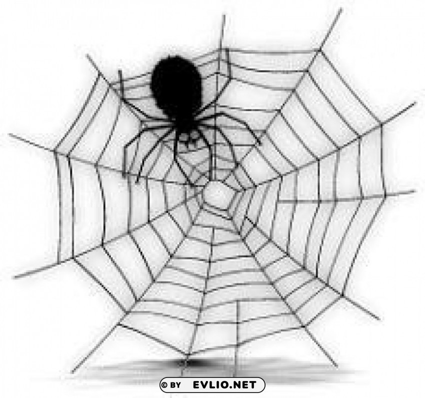free halloween spider web PNG for overlays
