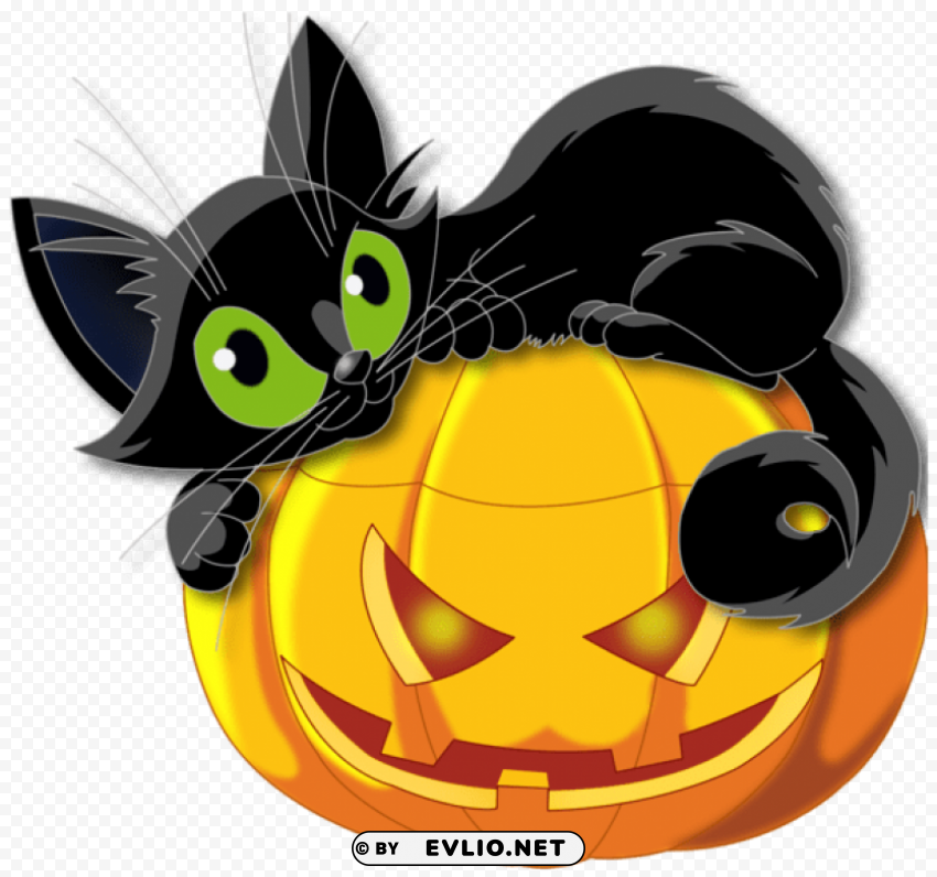 large transparent halloween pumpkin with black cat PNG no watermark