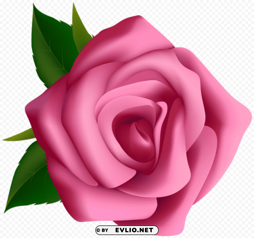 PNG image of pink rose PNG Image with Transparent Isolation with a clear background - Image ID af0947a0