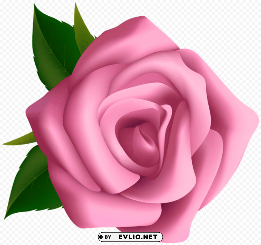 soft pink rose PNG images for merchandise
