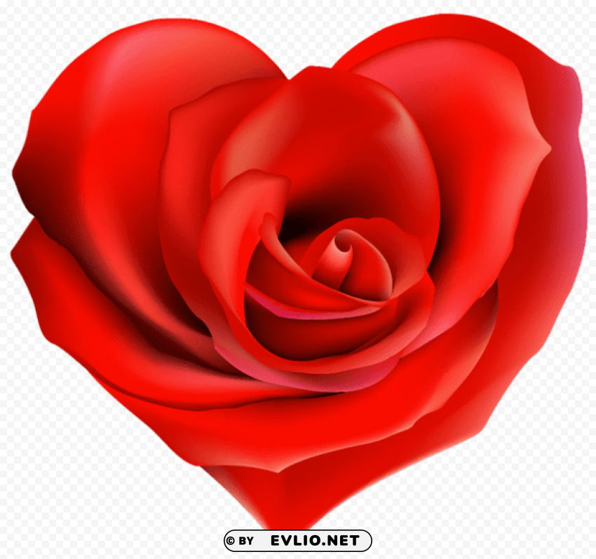 transparent rose hearts decor HighResolution Isolated PNG with Transparency