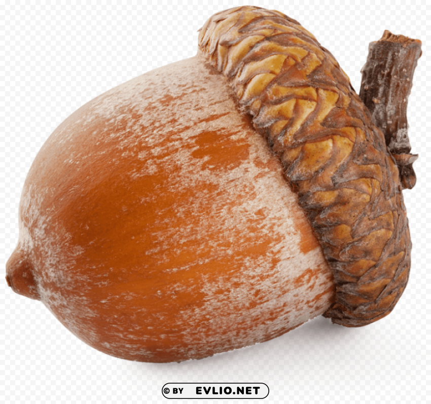 PNG image of acorn PNG Image with Isolated Element with a clear background - Image ID af5b59ad