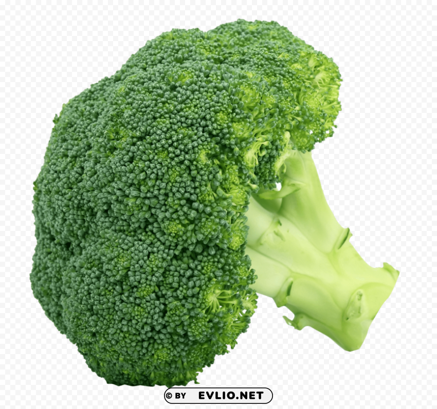 broccoli Isolated Item on Transparent PNG