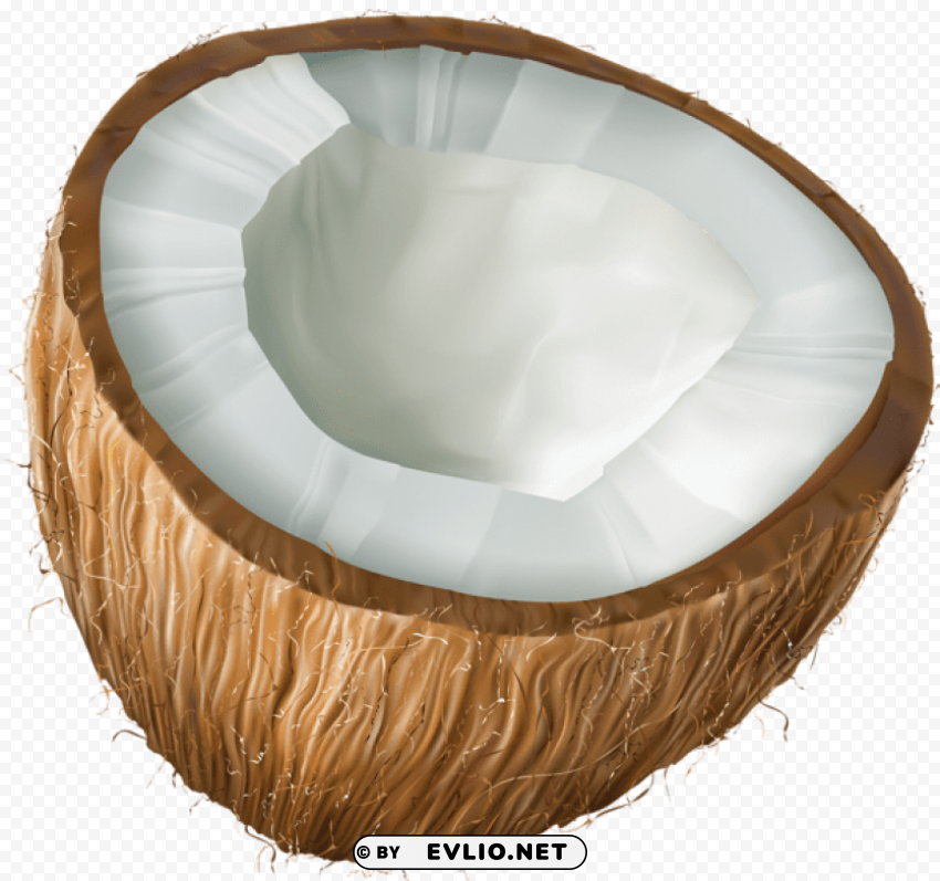 coconut Clear pics PNG