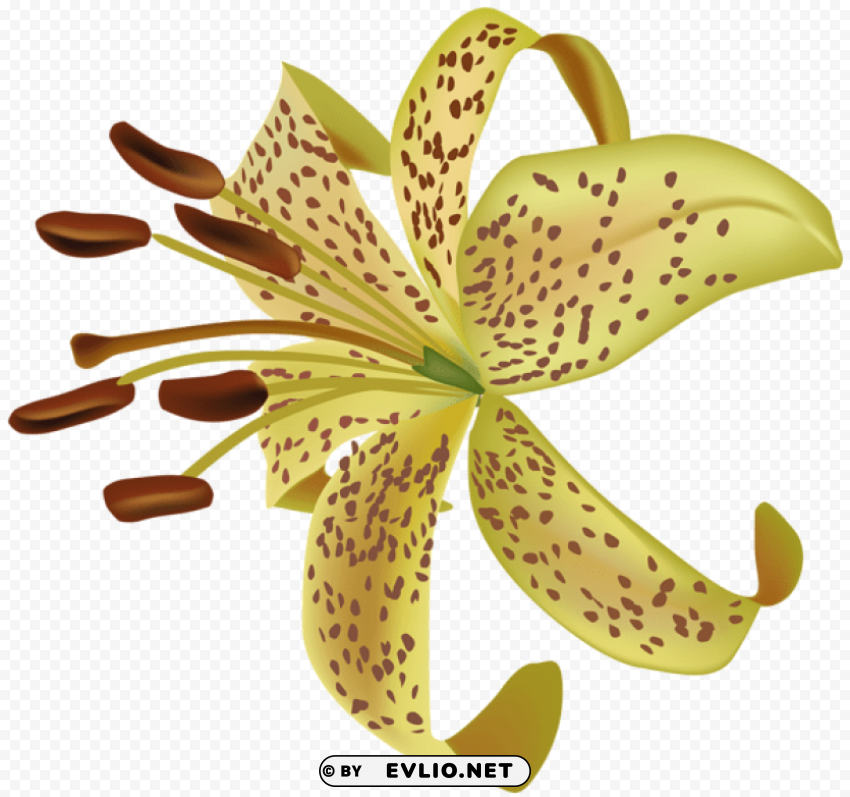 exotic flower Transparent PNG Isolated Artwork