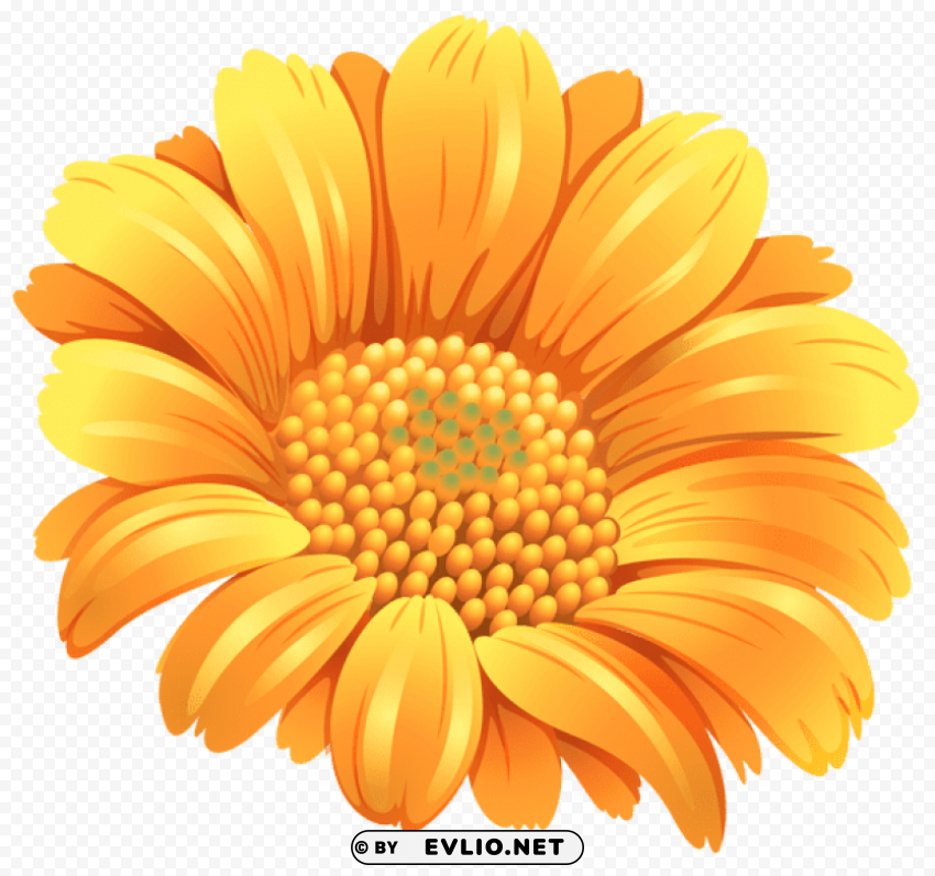Orange Flower Isolated Character On HighResolution PNG
