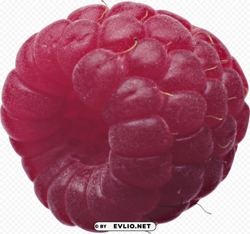 rasberry PNG images with transparent canvas