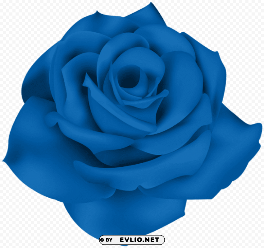 single blue rose PNG images with clear cutout