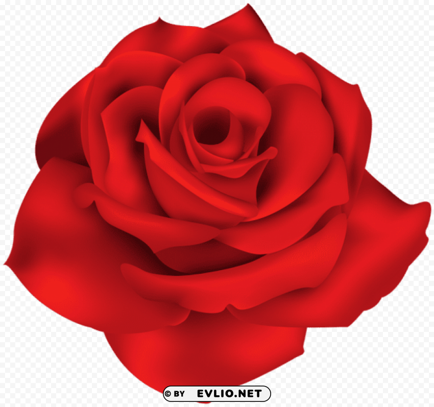 single red rose PNG images with alpha transparency wide collection