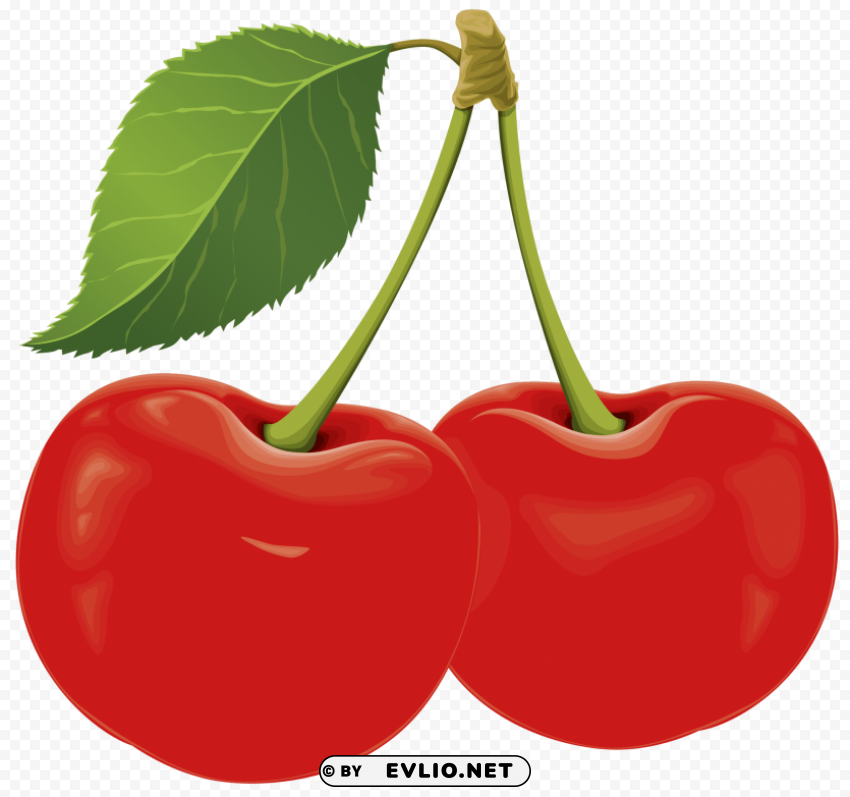 sour cherry Isolated Character on HighResolution PNG