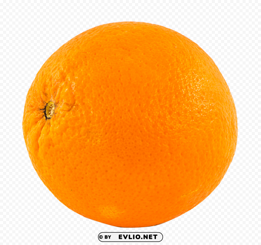 Orange PNG images with transparent elements pack