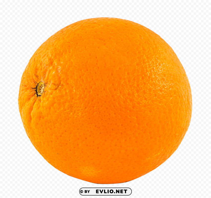 orange Clear Background Isolated PNG Object