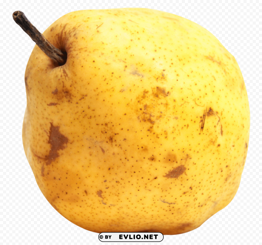 pear fruit PNG Image with Transparent Isolated Design