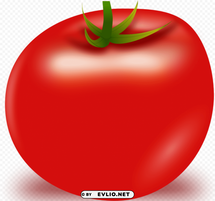 tomato Transparent PNG images free download