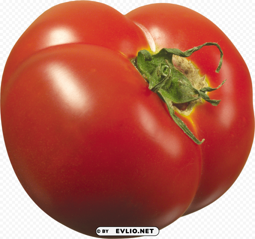 tomato Transparent PNG Object with Isolation