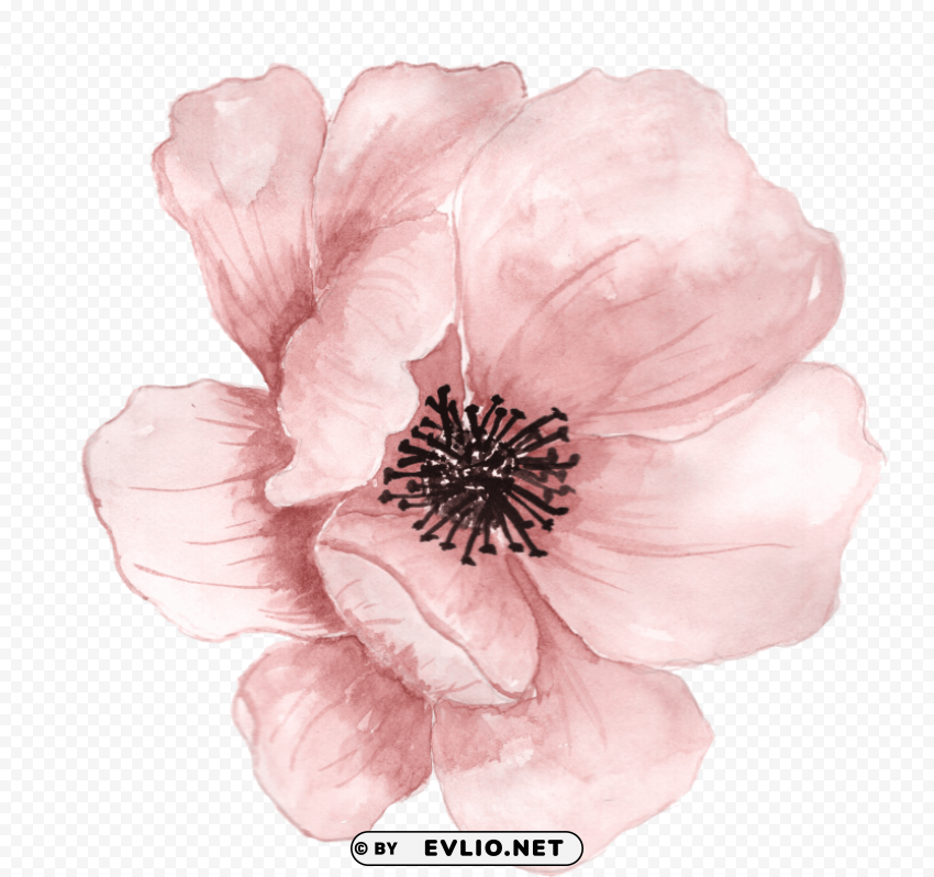 Transparent Watercolor Flower PNG Clipart With Transparency