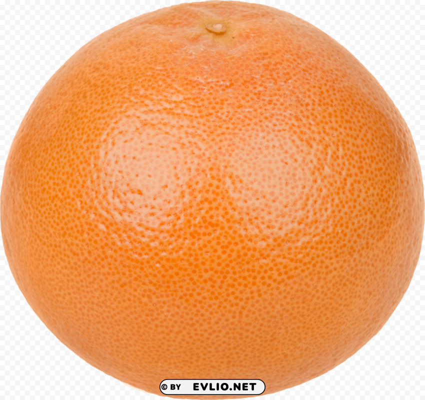 grapefruit Transparent background PNG images comprehensive collection