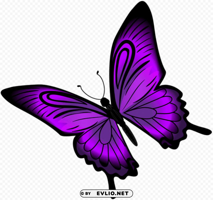 Purple Butterfly Transparent PNG Isolated Design Element