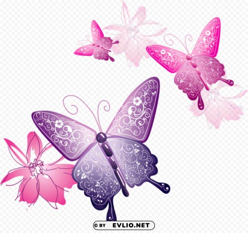Transparent Butterfly Decorative HighResolution Isolated PNG Image