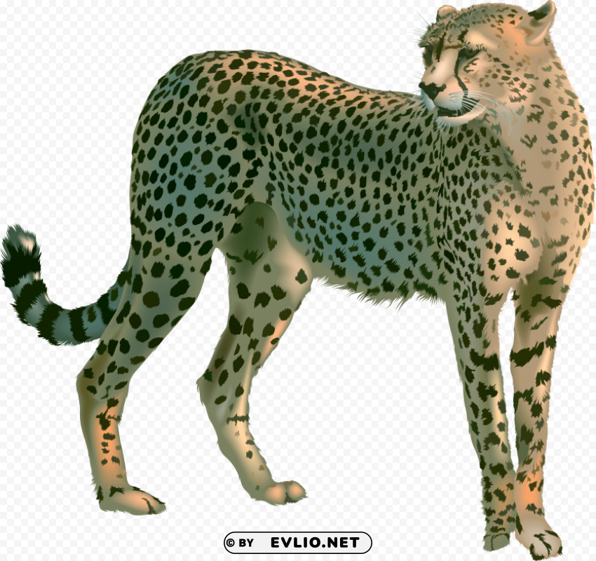 Cheetah PNG for mobile apps