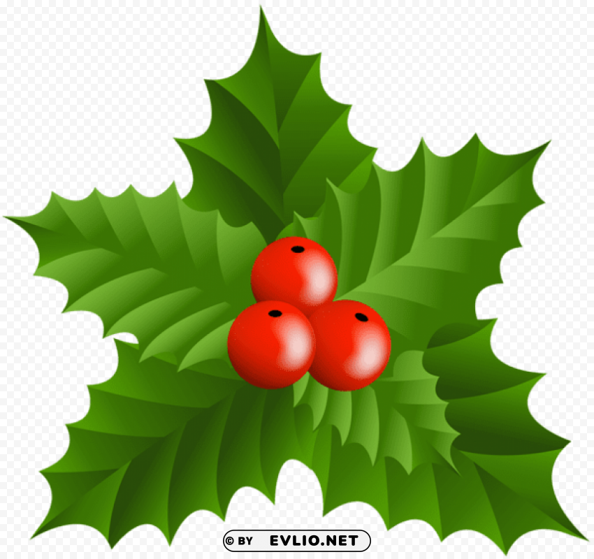 christmas holly mistletoe clip-art Transparent PNG graphics assortment