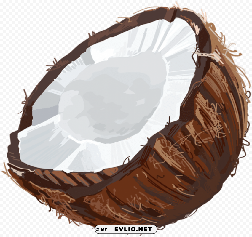 coconut Clear PNG image