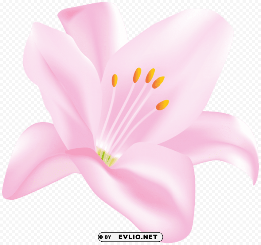 PNG image of flower Transparent Background PNG Isolated Character with a clear background - Image ID 61d1fde8