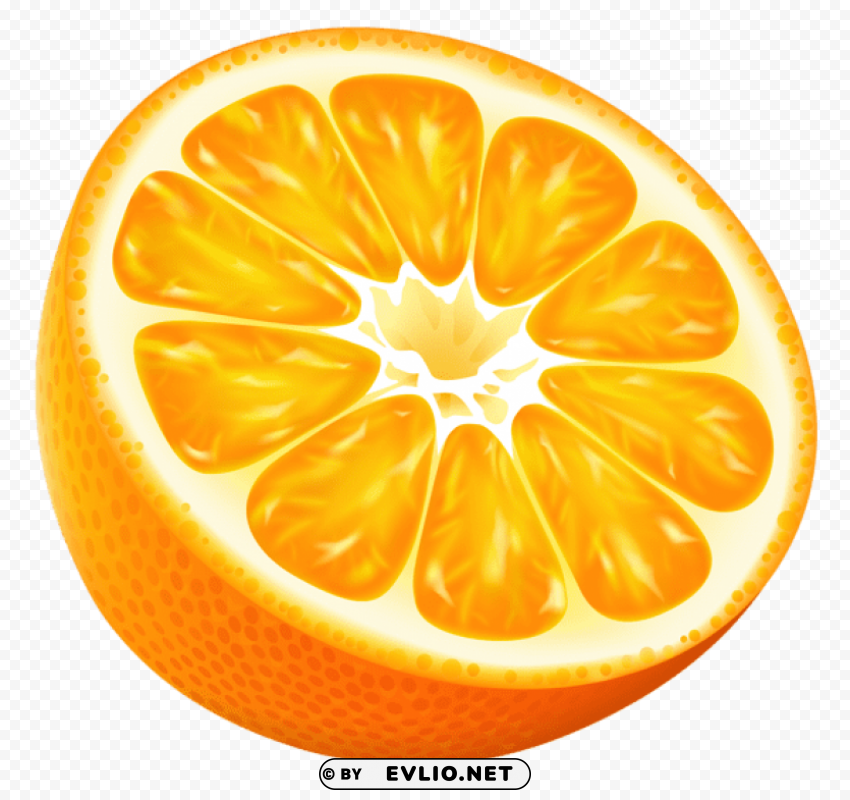 half orange vector PNG Image with Transparent Cutout