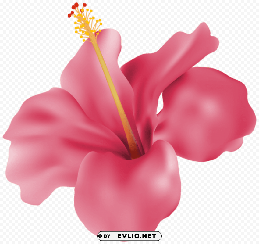 PNG image of hibiscus pink PNG transparent design bundle with a clear background - Image ID 2d6d53c5