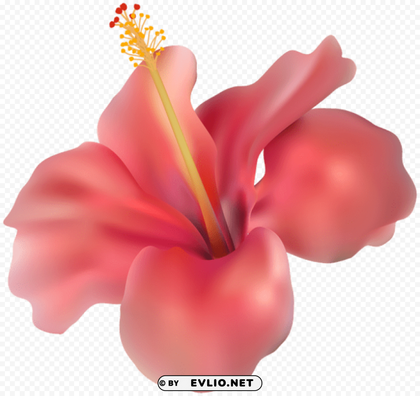 PNG image of hibiscus PNG transparent elements package with a clear background - Image ID fc669287