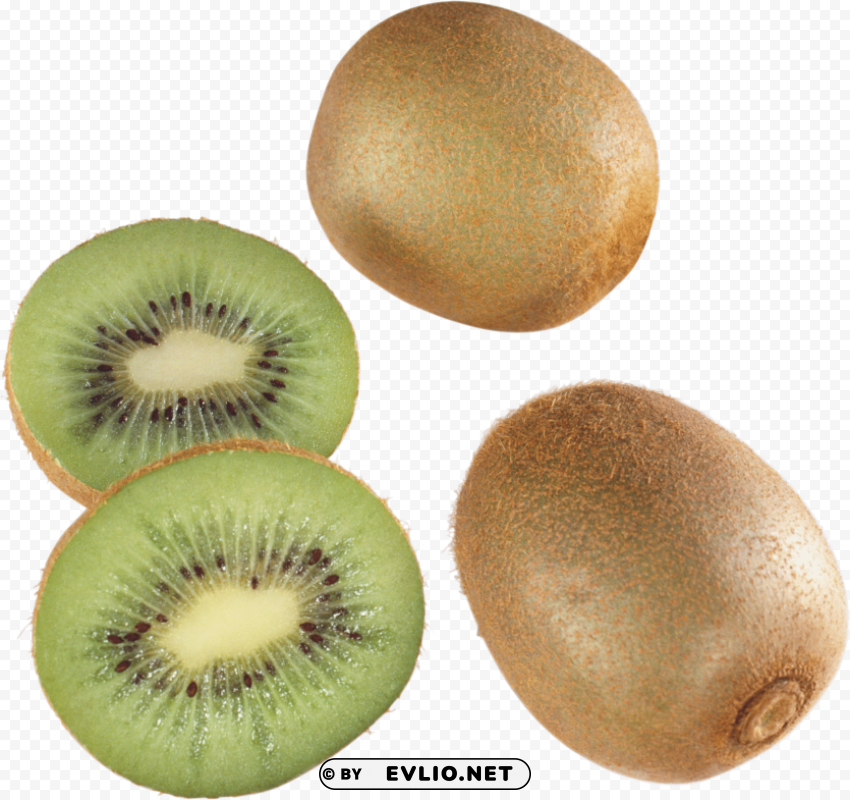 kiwi Isolated Graphic on Clear Background PNG