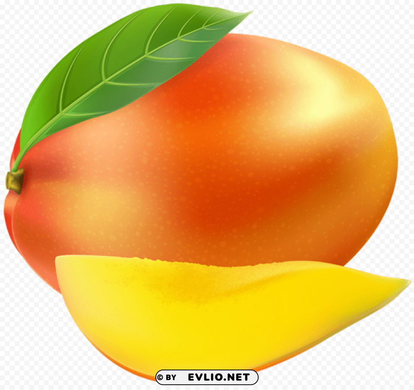 mango fruit Transparent PNG Isolated Artwork