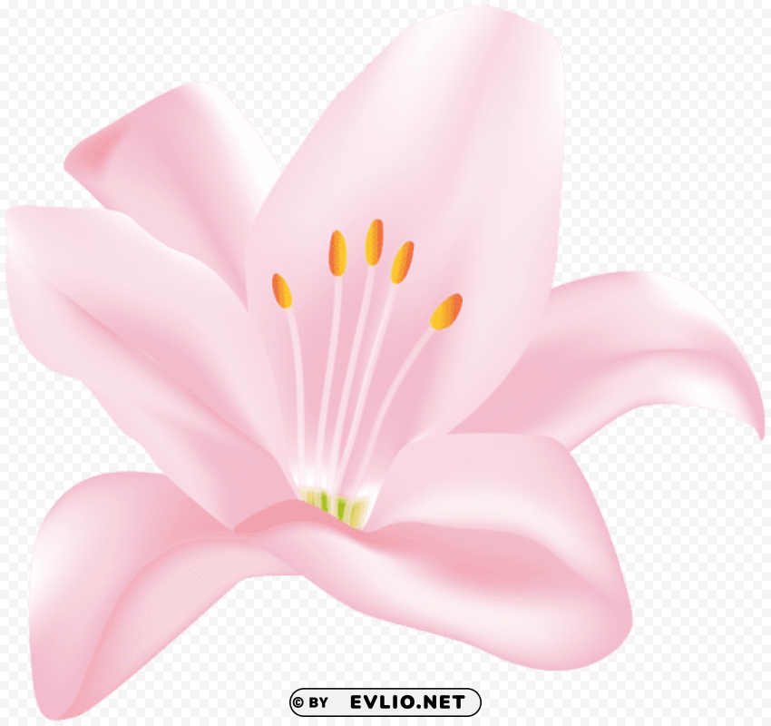 PNG image of pink flower Free PNG transparent images with a clear background - Image ID e4a88858