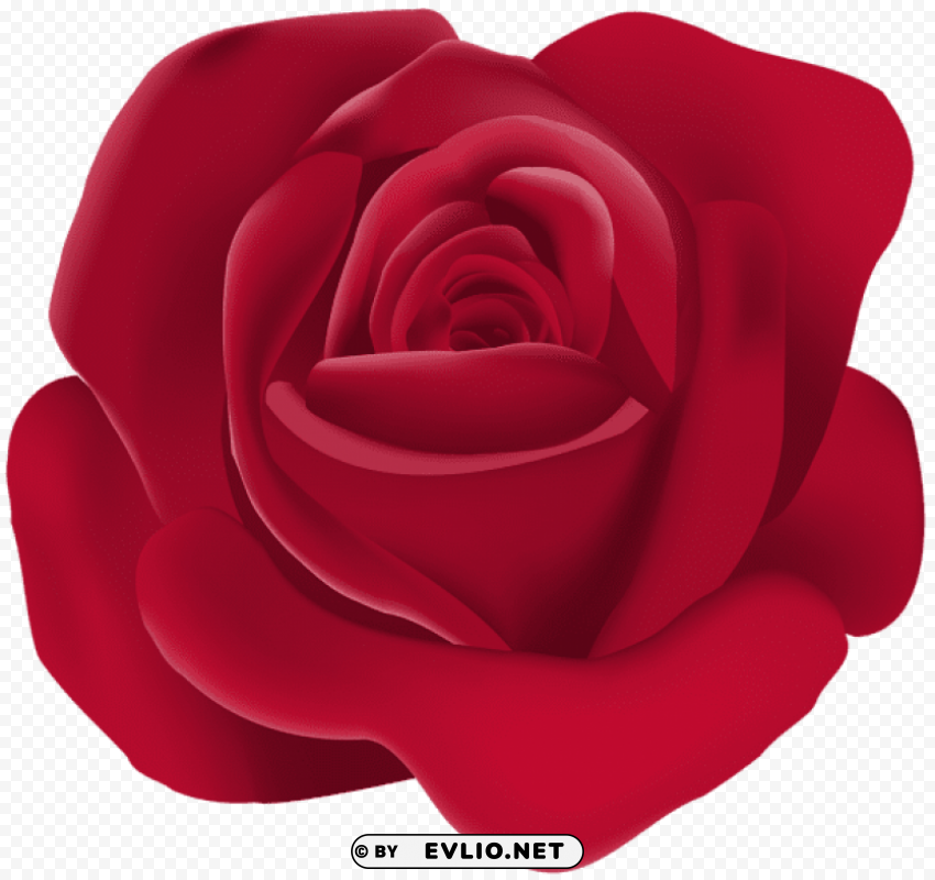 rose Isolated Character on Transparent PNG