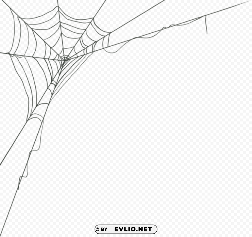 spider web corner PNG with transparent background for free