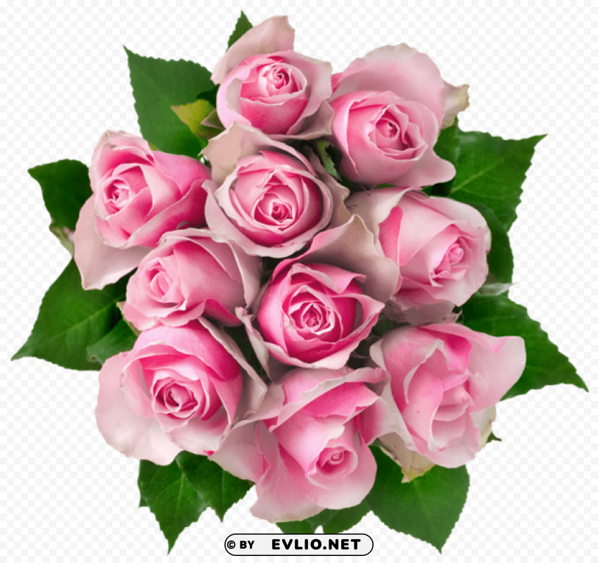transparent pink roses bouquetpicture Isolated Element on HighQuality PNG