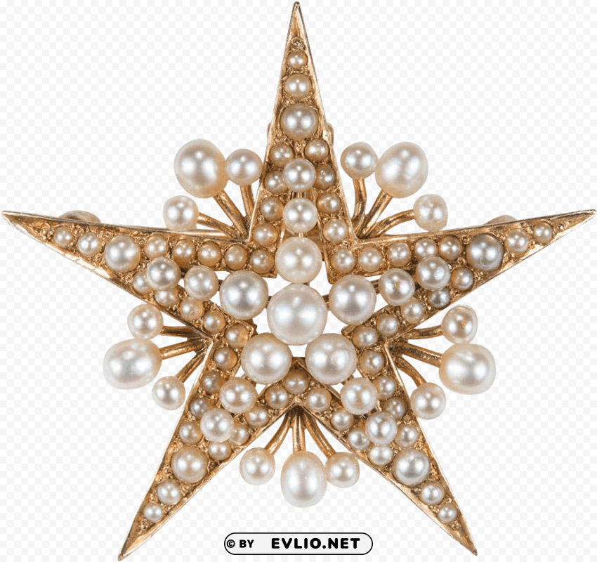 victorian star pendant k - vintage christmas ornament PNG images with alpha transparency diverse set