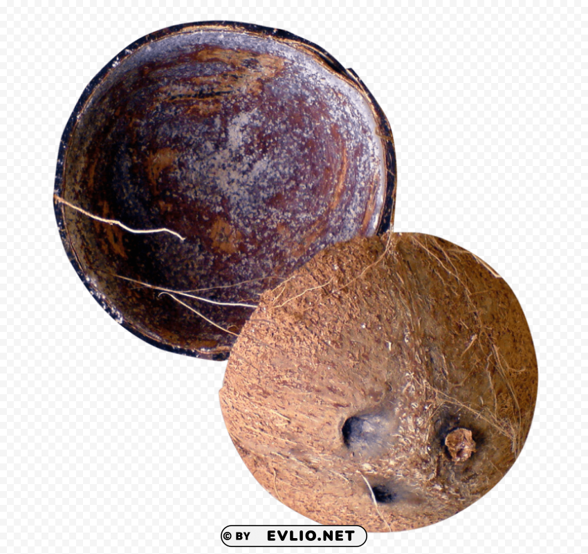 coconut shell Isolated Element on HighQuality Transparent PNG