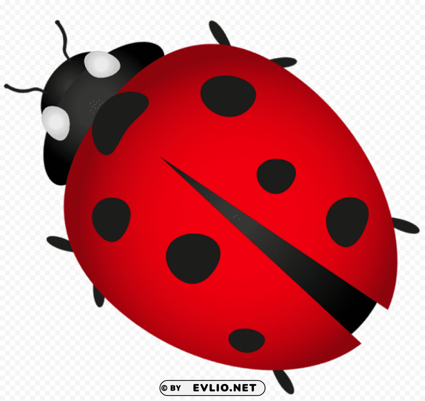 lady bug Transparent PNG pictures archive