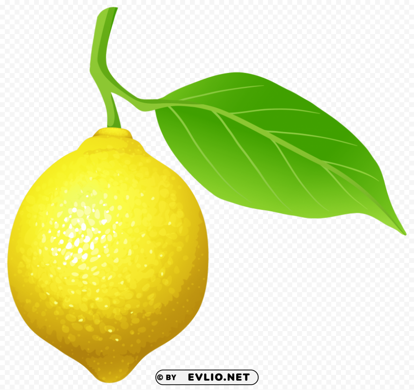 lemon Isolated Design Element in HighQuality Transparent PNG